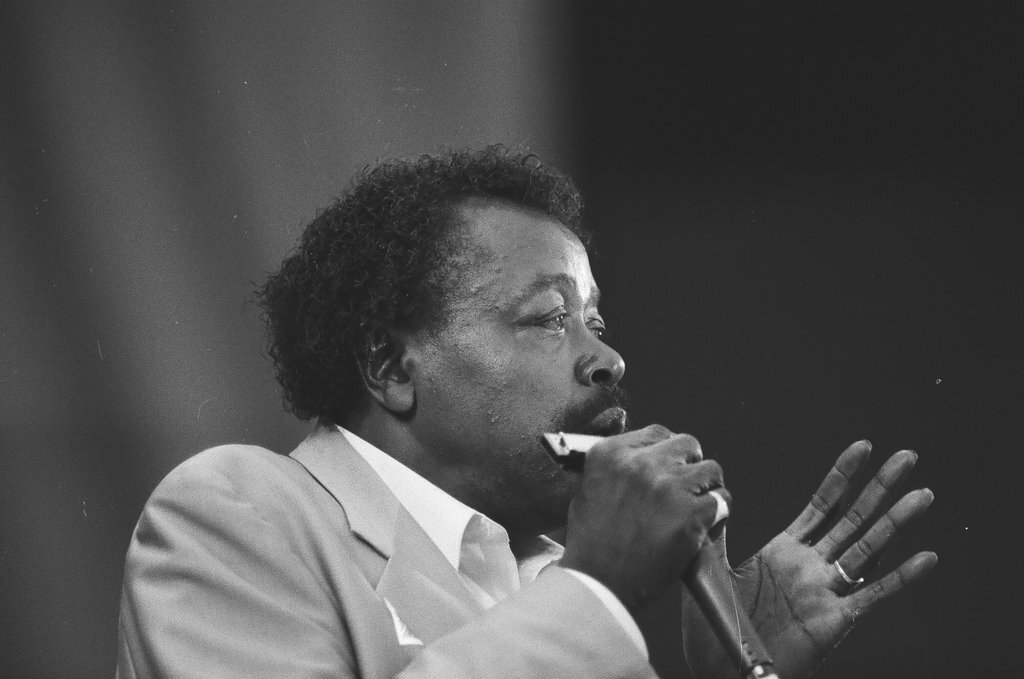 Blues Fest in Grant Park - Chicago Sun-Times