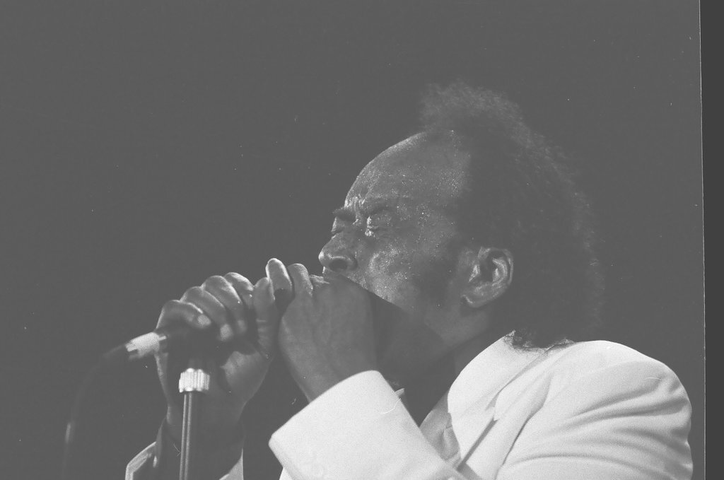 Blues Fest in Grant Park - Chicago Sun-Times