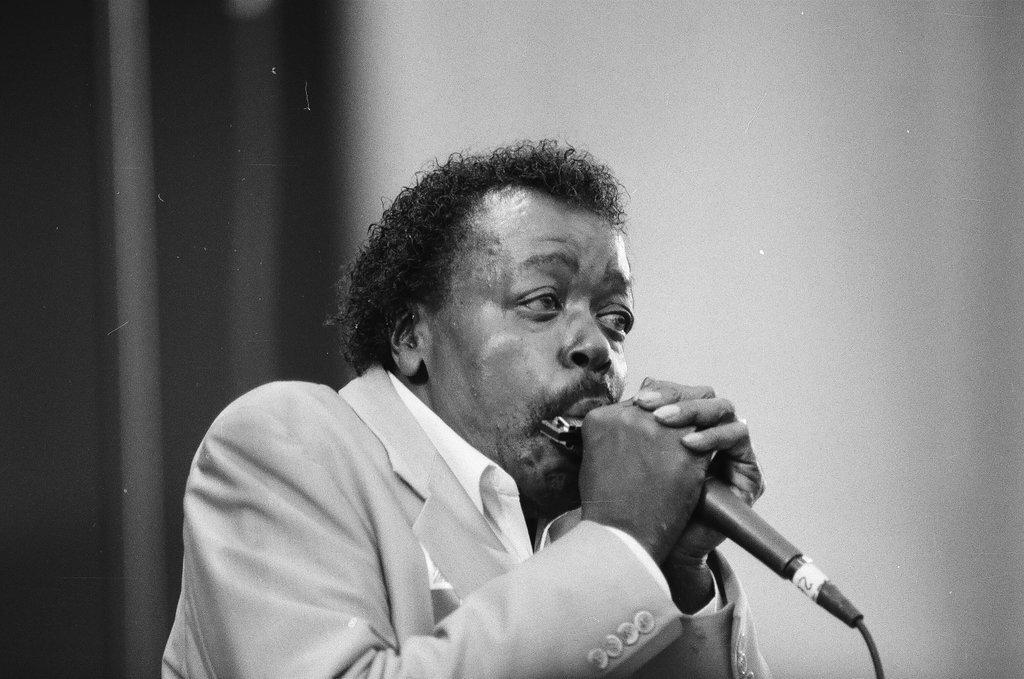 Blues Fest in Grant Park - Chicago Sun-Times