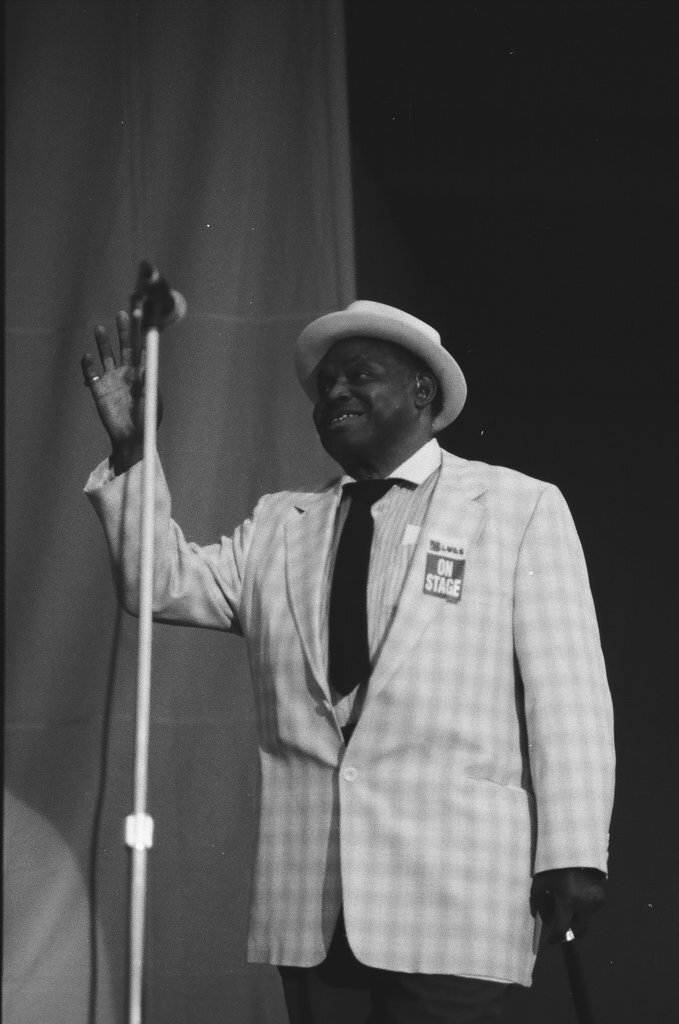 Blues Fest in Grant Park - Chicago Sun-Times