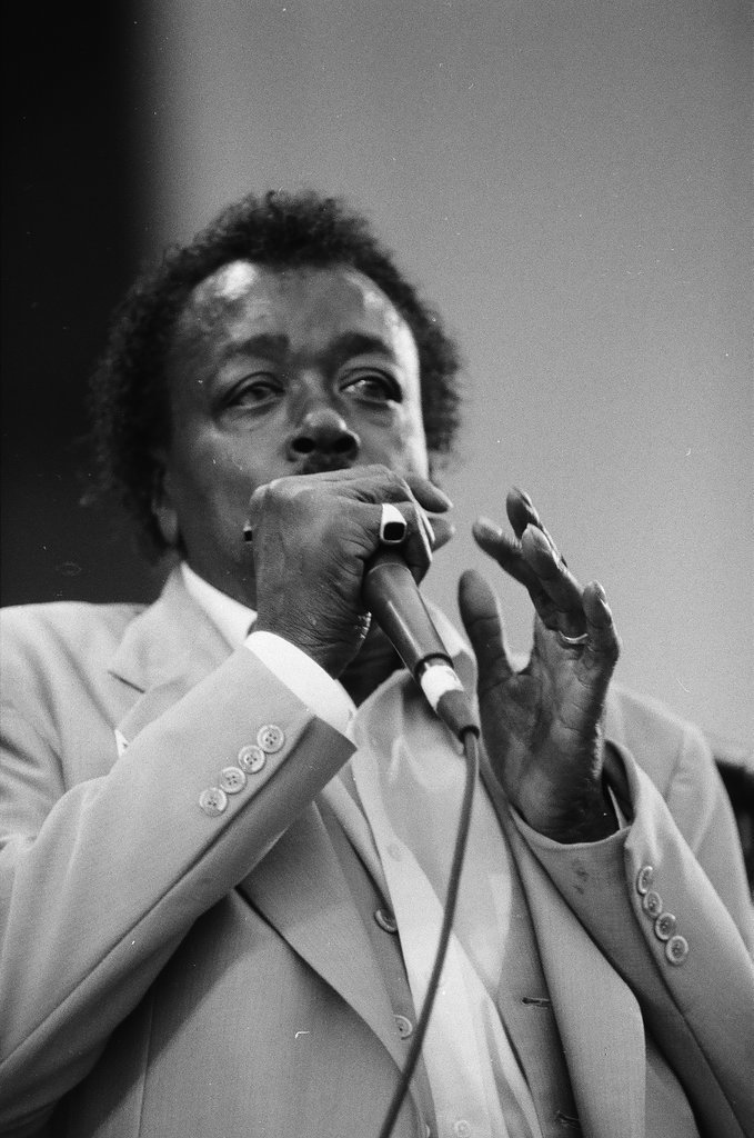 Blues Fest in Grant Park - Chicago Sun-Times