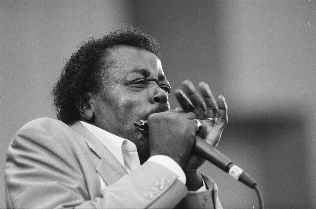 Blues Fest in Grant Park - Chicago Sun-Times
