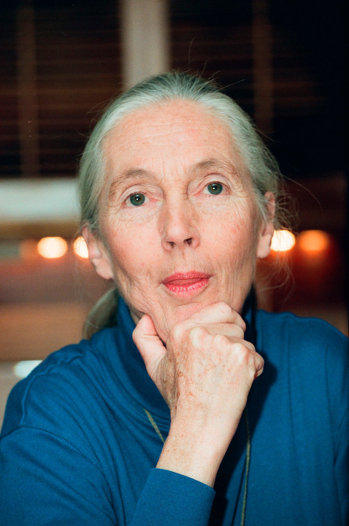 Goodall, Jane - Al Podgorski for Chicago Sun-Times