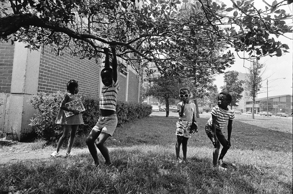 Lack of security for the residents of the Cabrini-Green - Chicago Sun-Times