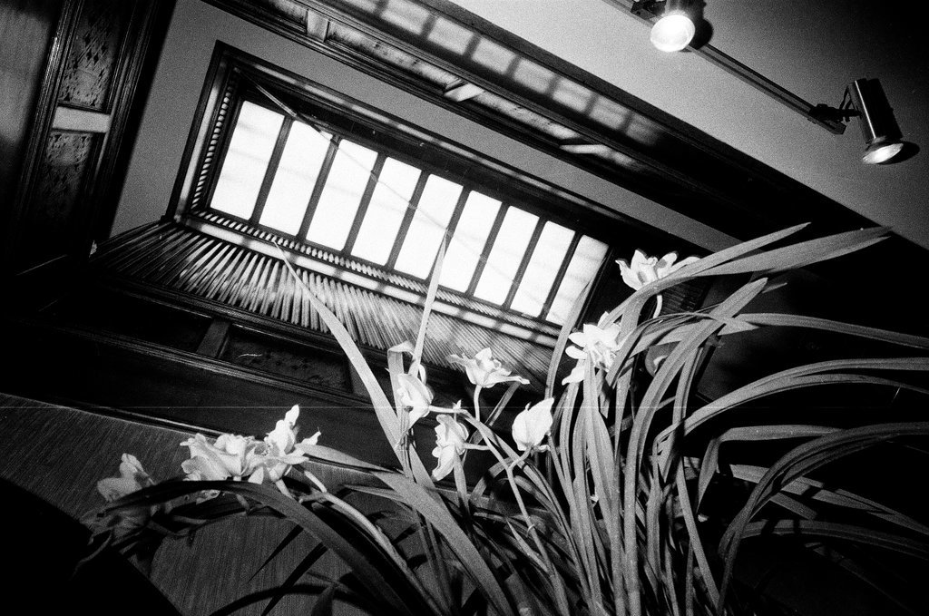 Frank Lloyd Wright Home - Chicago Sun-Times