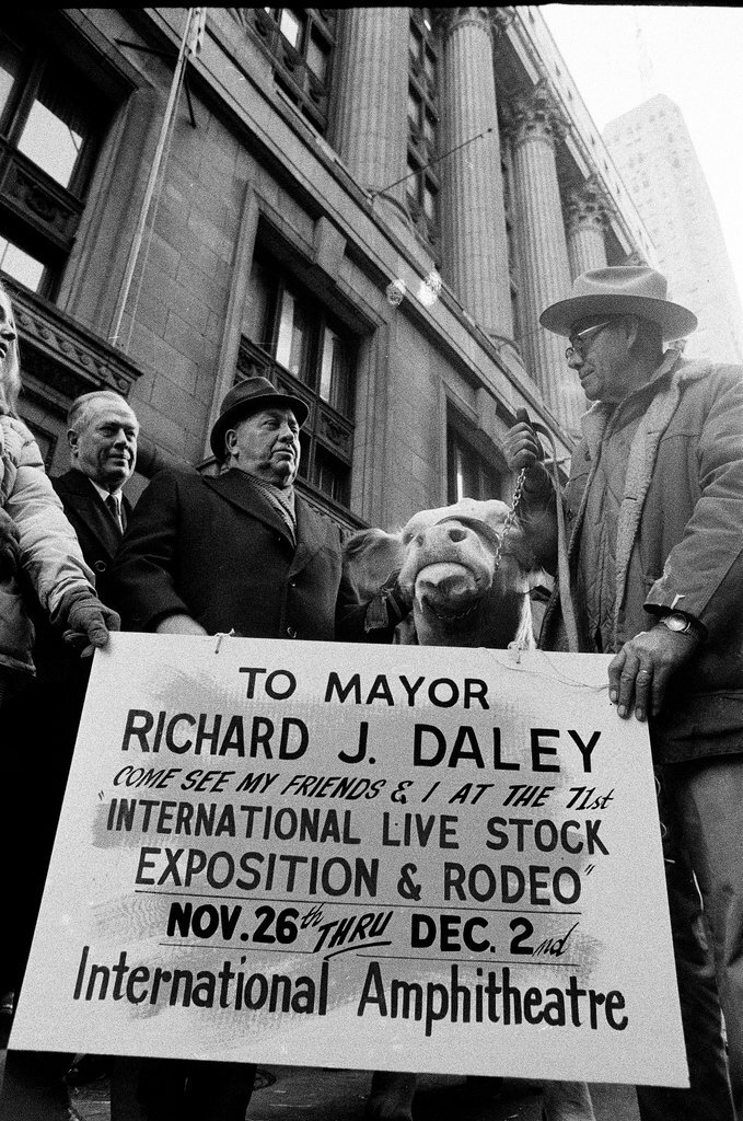 1970 International Livestock Expo - Chicago Sun-Times