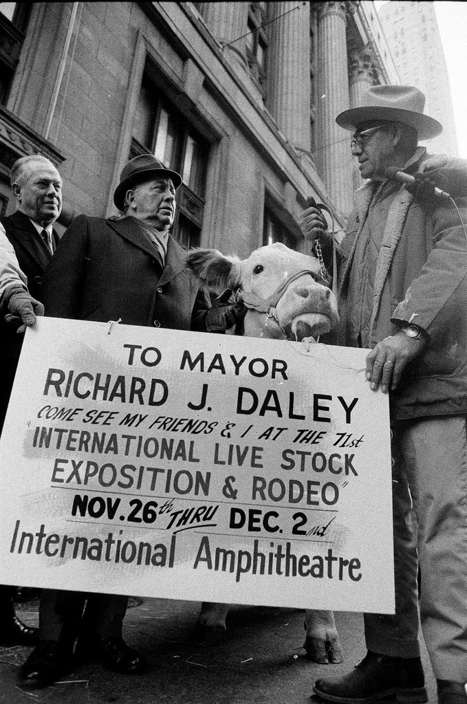 1970 International Livestock Expo - Chicago Sun-Times