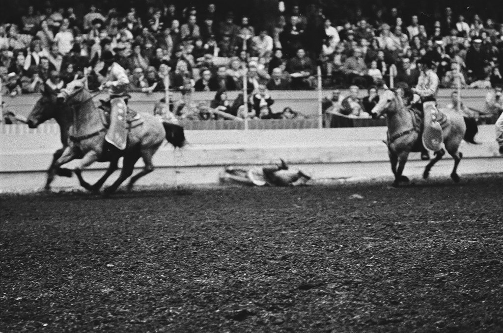 1970 International Livestock Show - Chicago Sun-Times