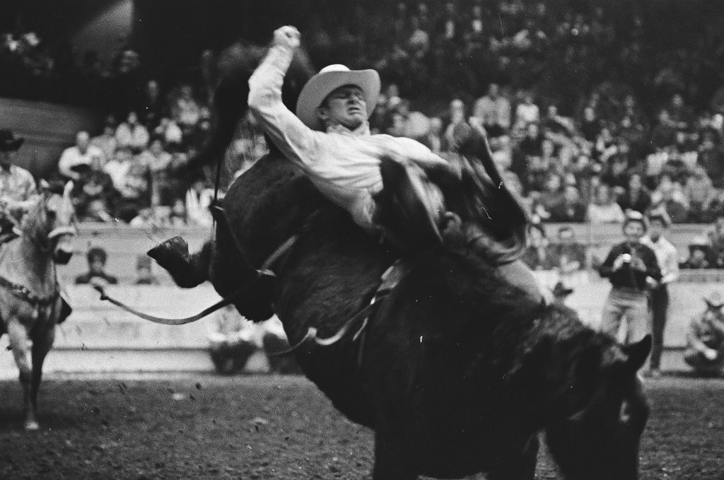 1970 International Livestock Show - Chicago Sun-Times