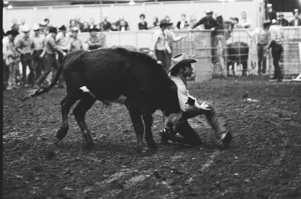1970 International Livestock Show - Chicago Sun-Times