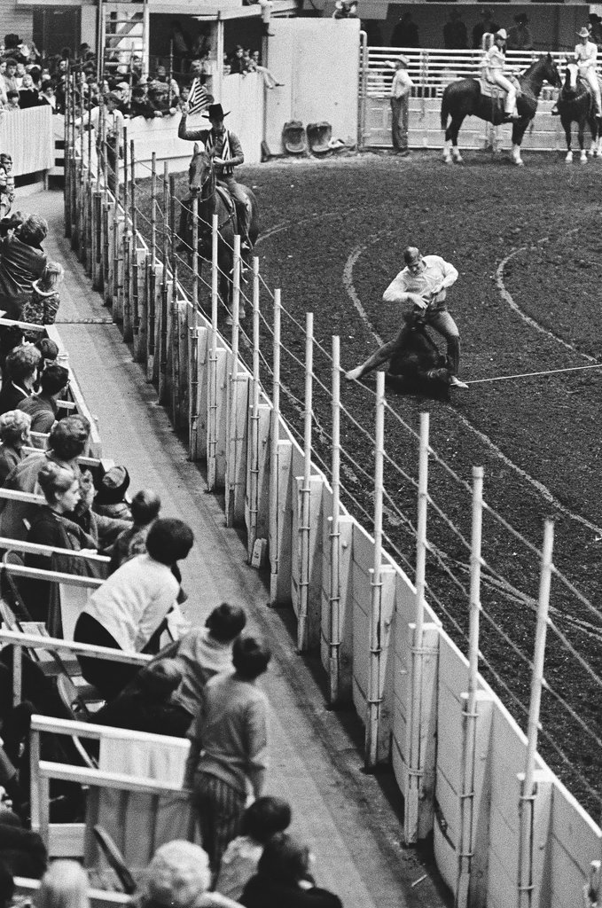 1970 International Livestock Show - Chicago Sun-Times