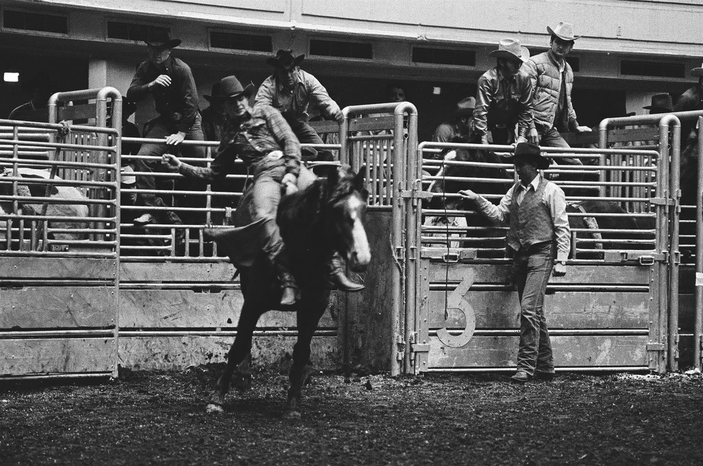 1970 International Livestock Show - Chicago Sun-Times