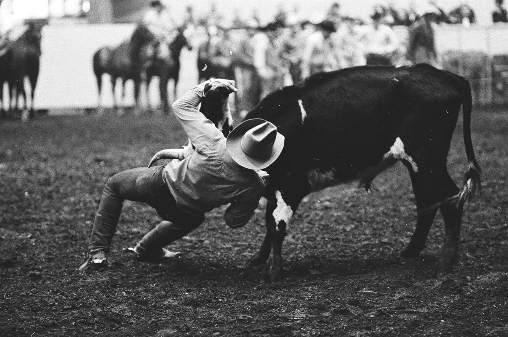 1970 International Livestock Show - Chicago Sun-Times