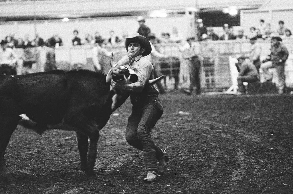 1970 International Livestock Show - Chicago Sun-Times