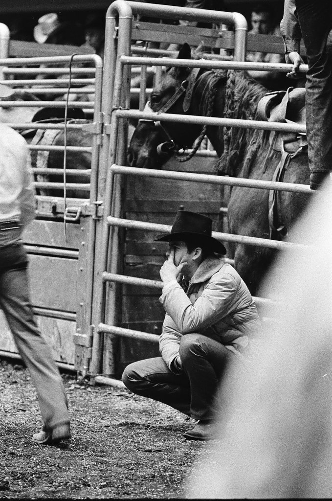 1970 International Livestock Show - Chicago Sun-Times