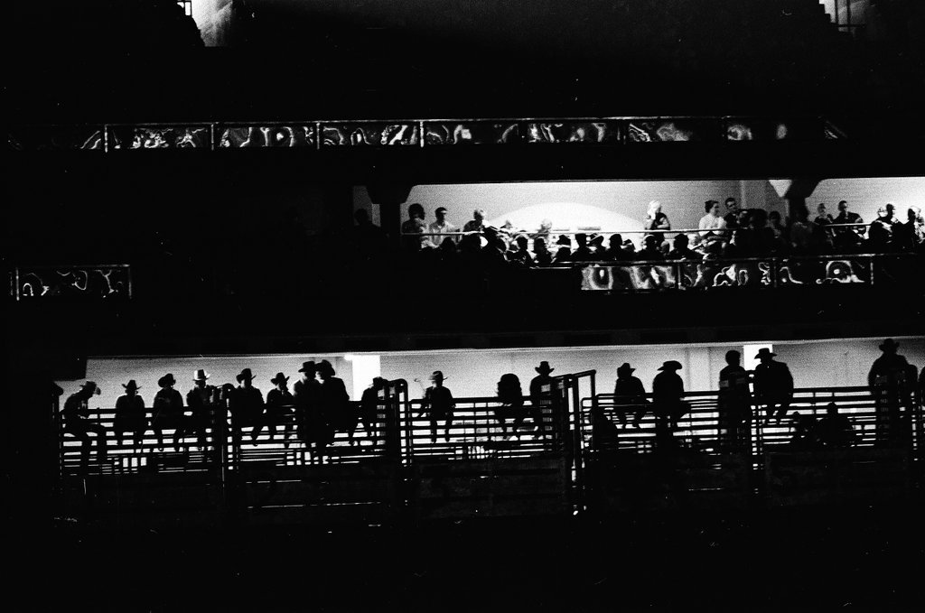 1970 International Livestock Show - Chicago Sun-Times
