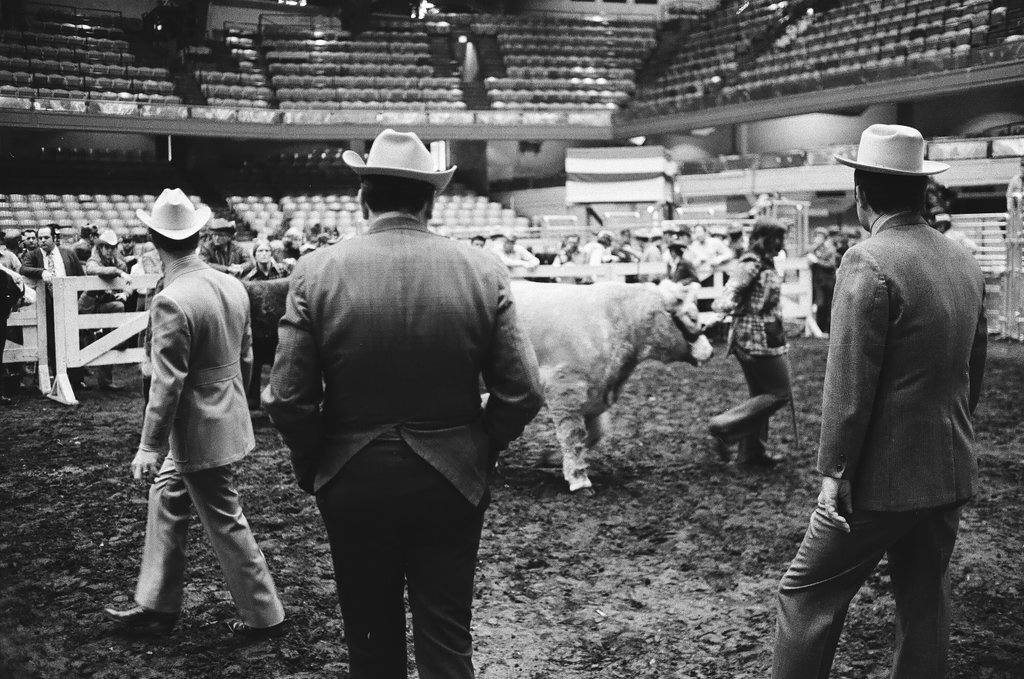1972 International Livestock Show - Chicago Sun-Times