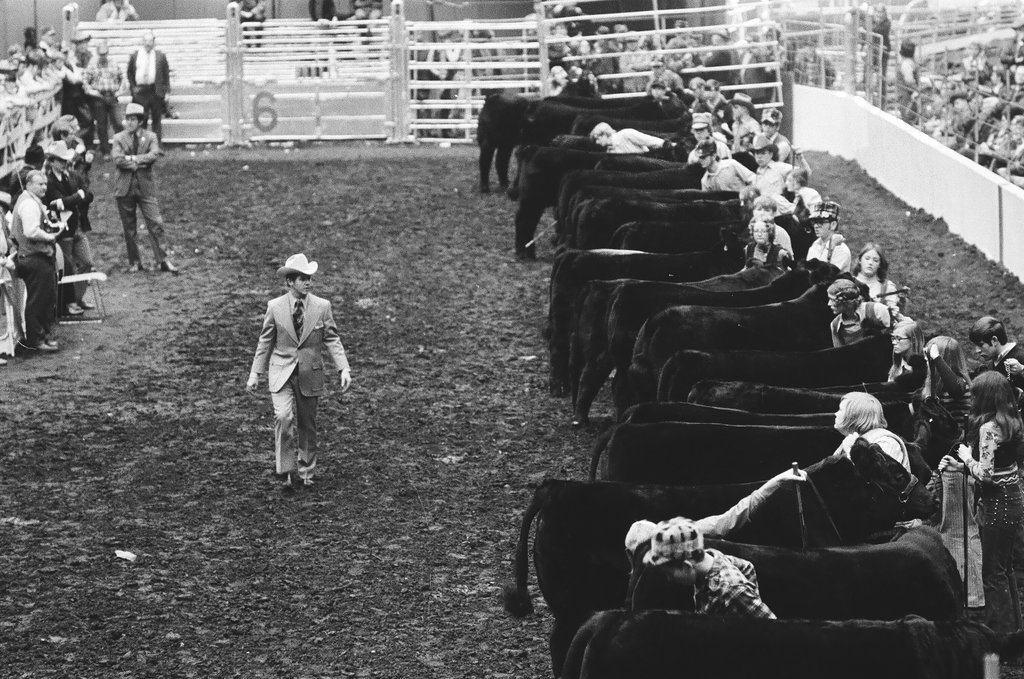 1972 International Livestock Show - Chicago Sun-Times