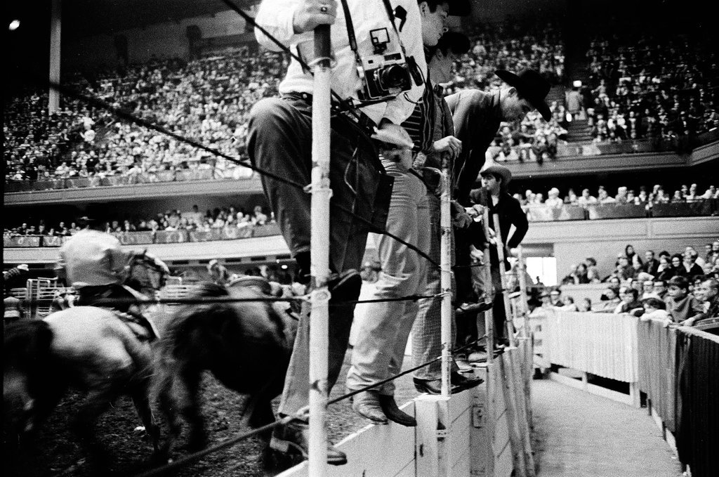 1970 International Livestock Show - Chicago Sun-Times