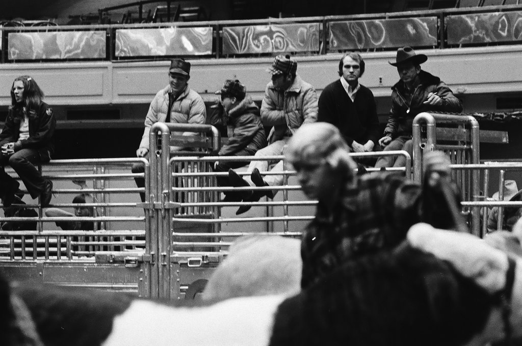 1972 International Livestock Show - Chicago Sun-Times