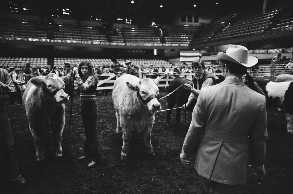 1972 International Livestock Show - Chicago Sun-Times