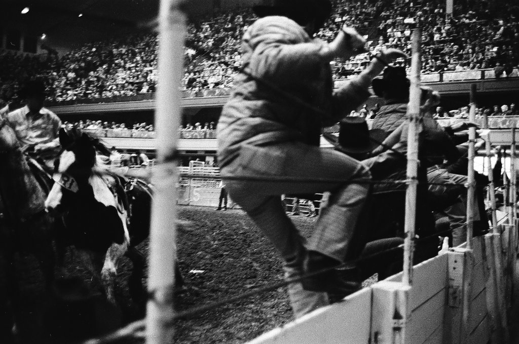 1970 International Livestock Show - Chicago Sun-Times