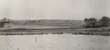 Site of the Mines and Mining Building, World's Columbian Exposition - Arnold, C. D.