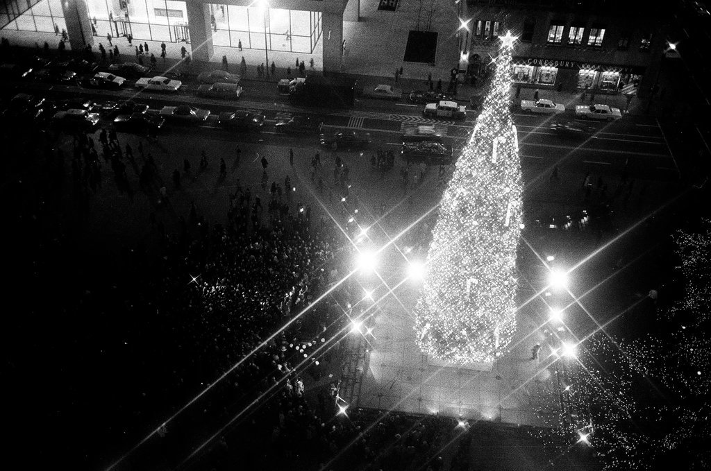 Christmas Tree at Civic Center Lighting - Chicago Sun-Times