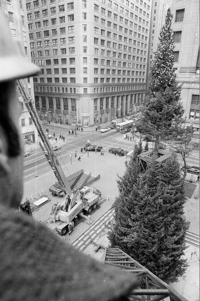 Workmen put up the Civic Center Christmas tree for the winter holiday - Chicago Sun-Times