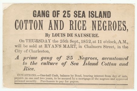 Advertisement of slave sale:  Gang of 25 Sea Island Cotton & Rice Negroes - Unknown