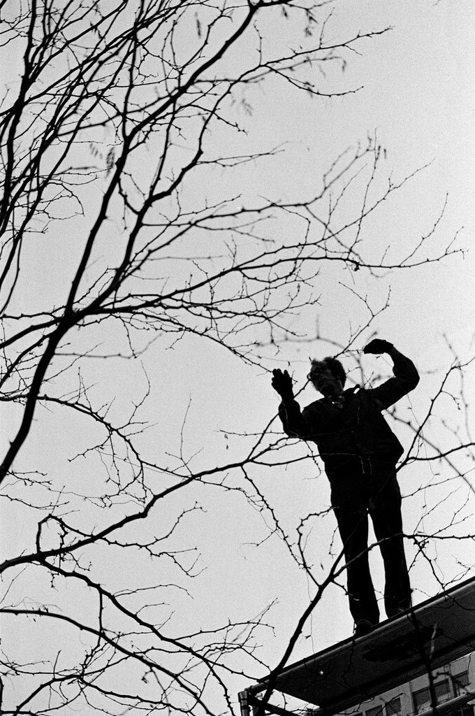 Crews place string lights on trees for the winter holiday at One IBM Plaza - Chicago Sun-Times