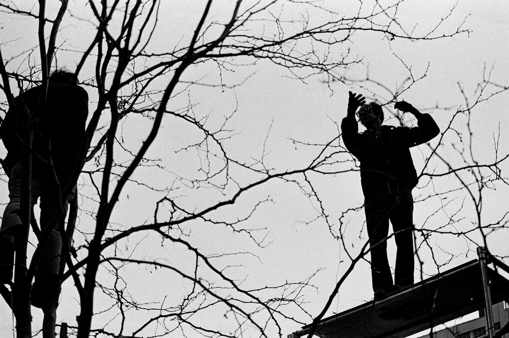Crews place string lights on trees for the winter holiday at One IBM Plaza - Chicago Sun-Times