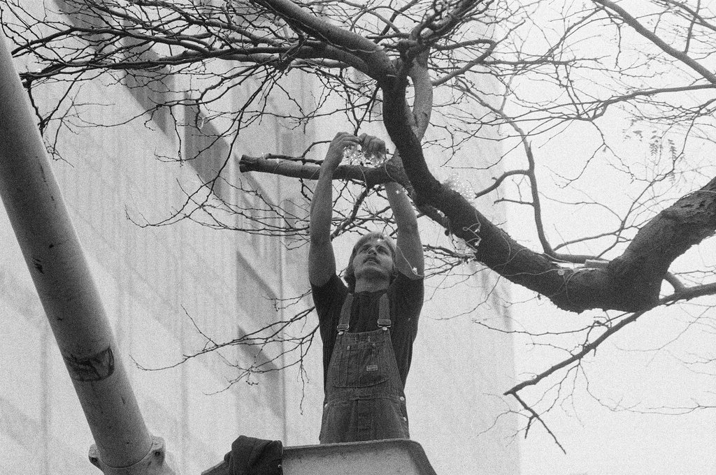 Crews place string lights on trees in front of the Water Tower Place mall - Chicago Sun-Times
