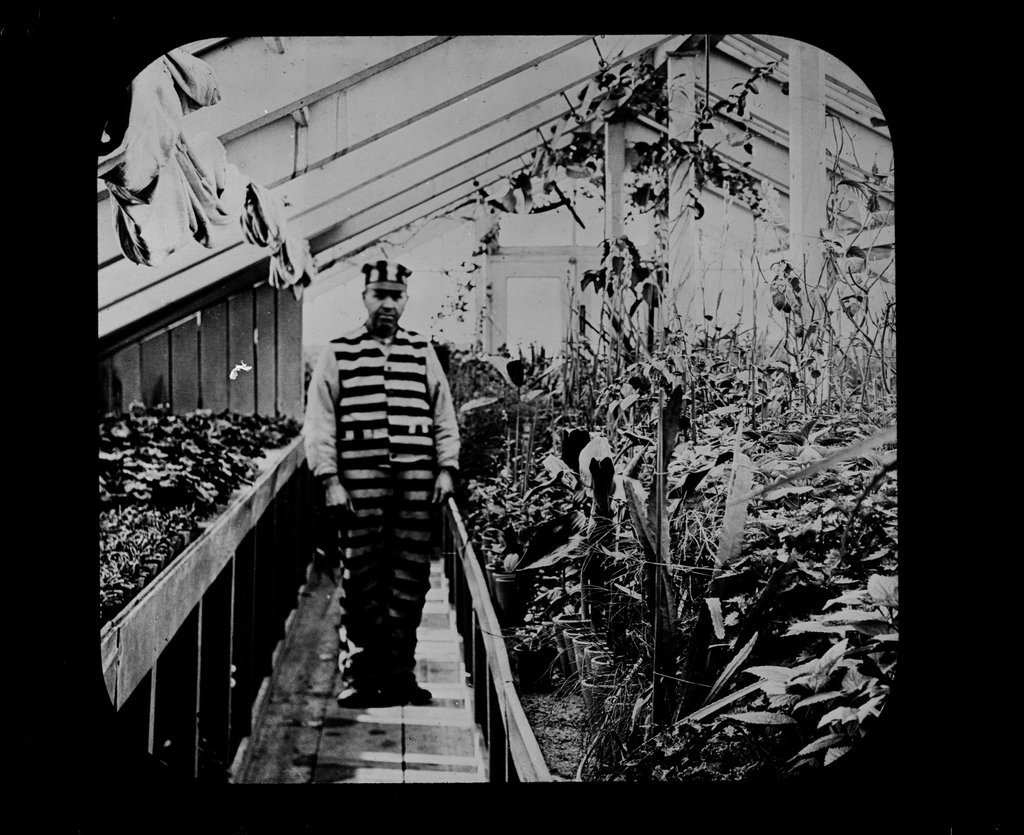Conservatory - Wetmore, S. W.