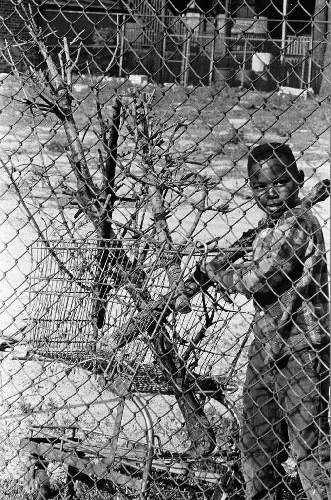 Garfield Park neighborhood - Chicago Sun-Times