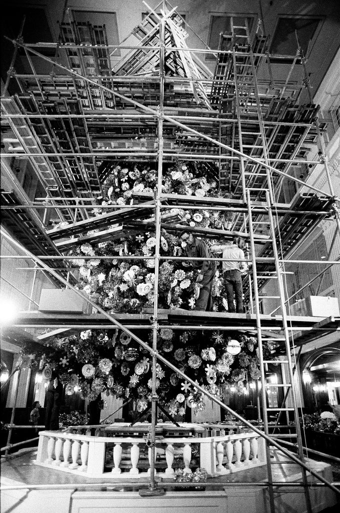 Christmas tree at Marshall Field's - Chicago Sun-Times