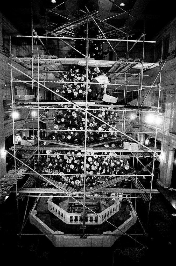 Christmas tree at Marshall Field's - Chicago Sun-Times