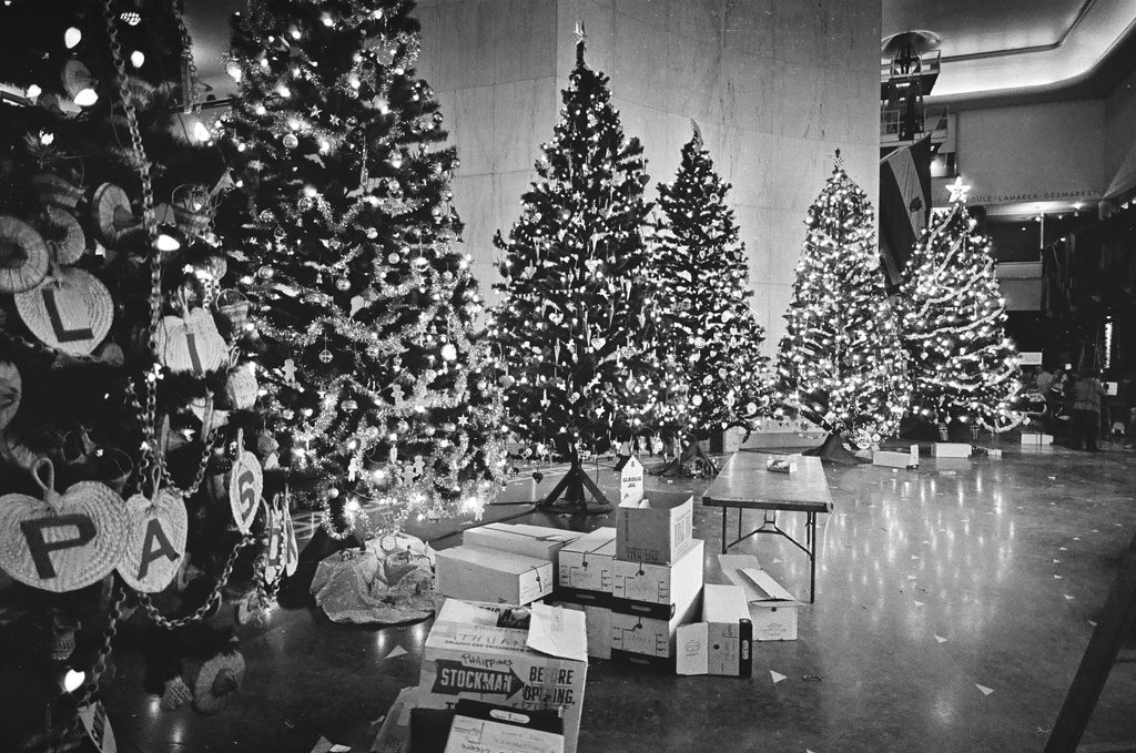 Christmas trees at Museum of Science and Industry - Chicago Sun-Times