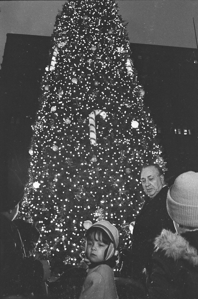 Mayor Richard J. Daley turns on the lights of the 16th annual Civic Center Christmas tree - Chicago Sun-Times
