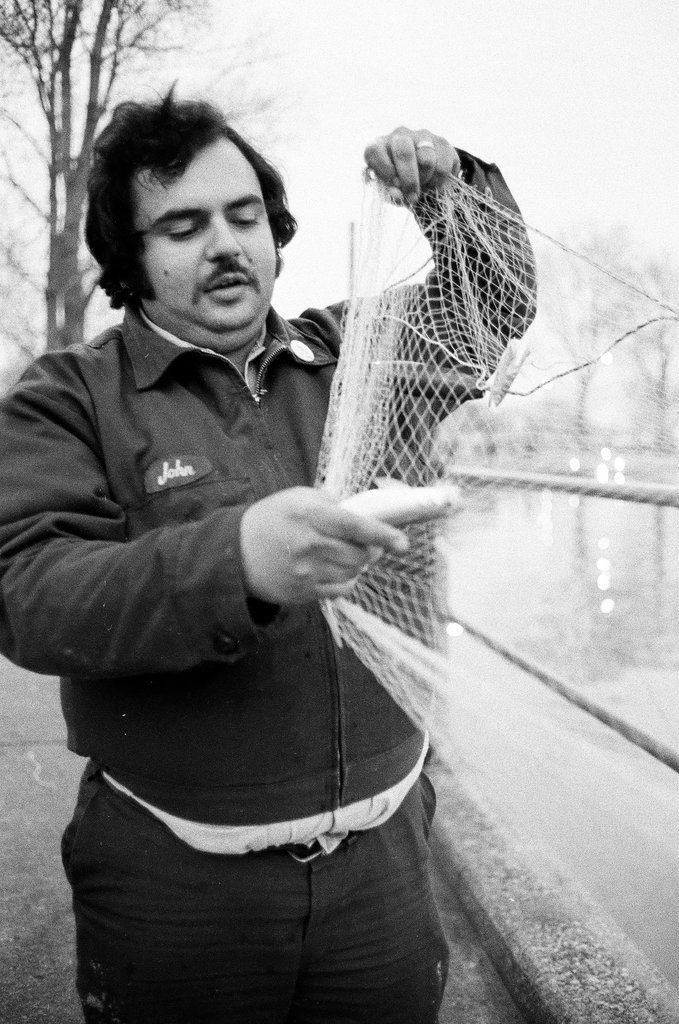 People fish for smelt and cook up their catches at Montrose Harbor - Chicago Sun-Times