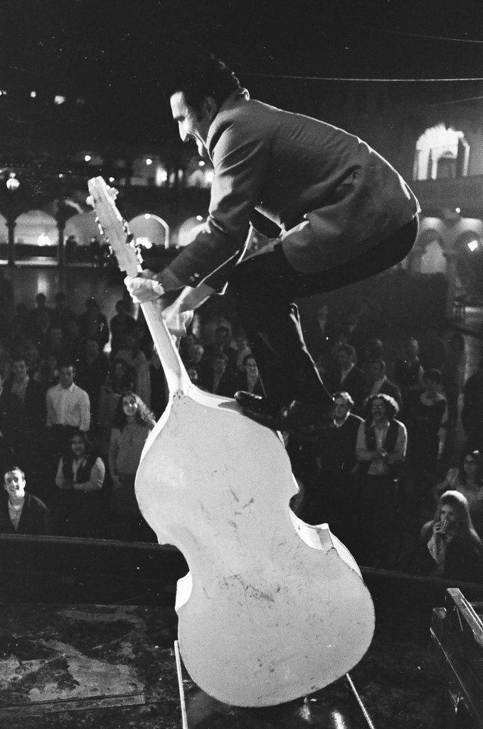 Bill Haley and his Comets - Chicago Sun-Times