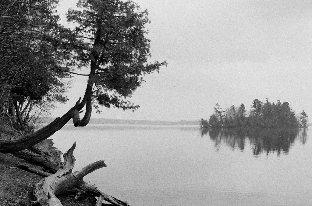 Views of the exterior of the Monroe Theatre and of trees on Lake Michigan - Chicago Sun-Times