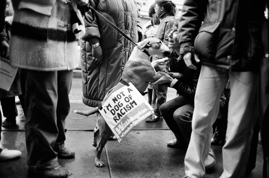 Harold Washington campaigns at the Belmont Hotel and Hillman's Food Store - Pete Souza for Chicago Sun-Times