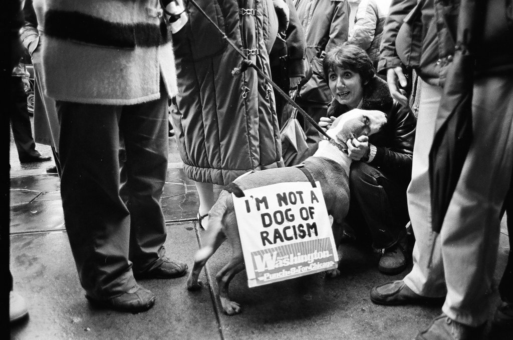 Harold Washington campaigns at the Belmont Hotel and Hillman's Food Store - Pete Souza for Chicago Sun-Times