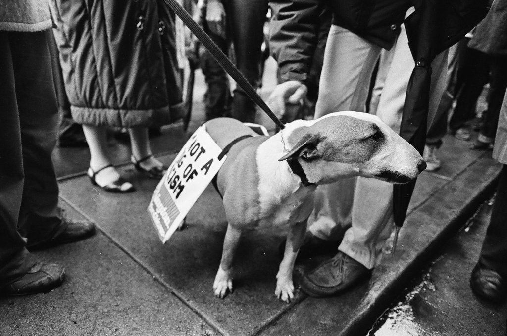 Harold Washington campaigns at the Belmont Hotel and Hillman's Food Store - Pete Souza for Chicago Sun-Times