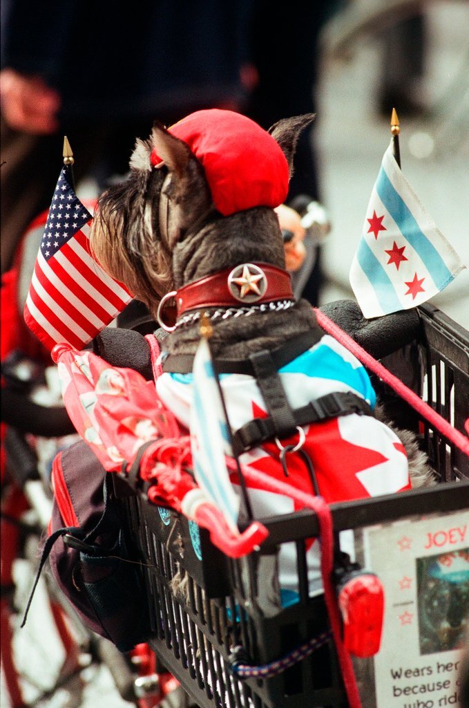 A Bike to Work Rally is held at Daley Plaza - Chicago Sun-Times