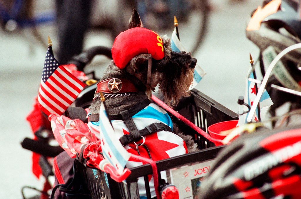 A Bike to Work Rally is held at Daley Plaza - Chicago Sun-Times