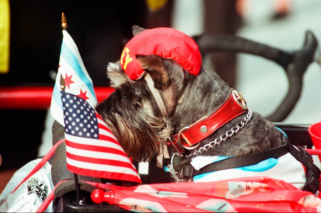 A Bike to Work Rally is held at Daley Plaza - Chicago Sun-Times