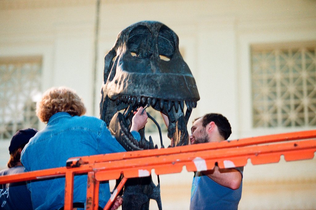 Field Museum staff dismantle the Brachiosaurus model to make room for Sue - Chicago Sun-Times
