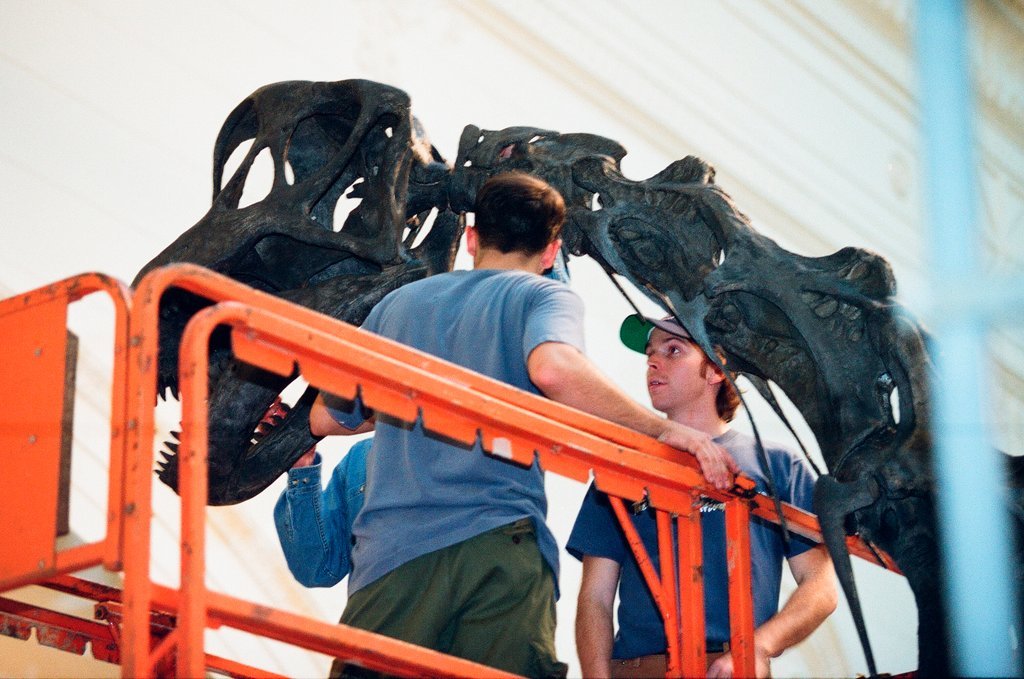 Field Museum staff dismantle the Brachiosaurus model to make room for Sue - Chicago Sun-Times